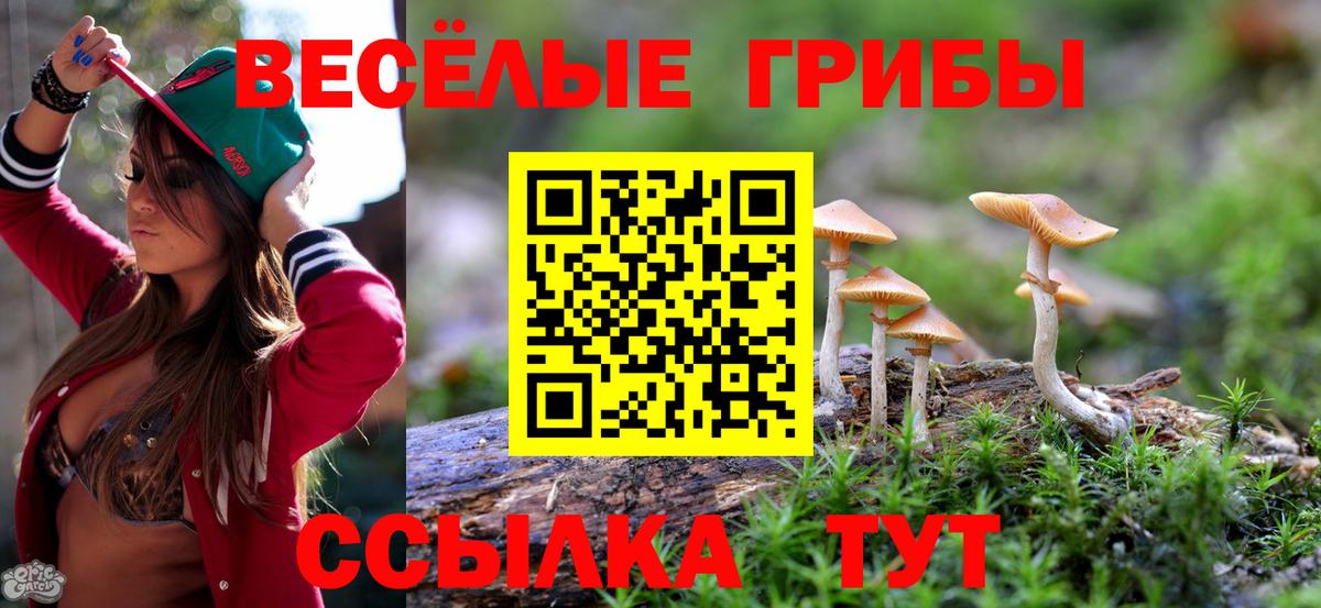 Королёв  Галлюциногенные грибы мицелий  Вход с VPN  дарнет шоп  Галлюциногенные грибы Cubensis 